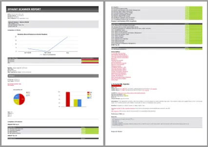 Syhunt_report