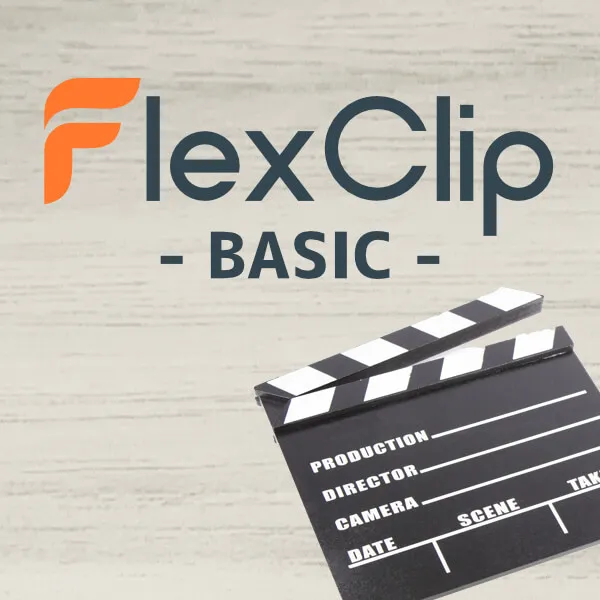 FlexClip