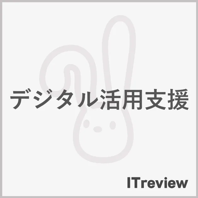 デジタル活用支援