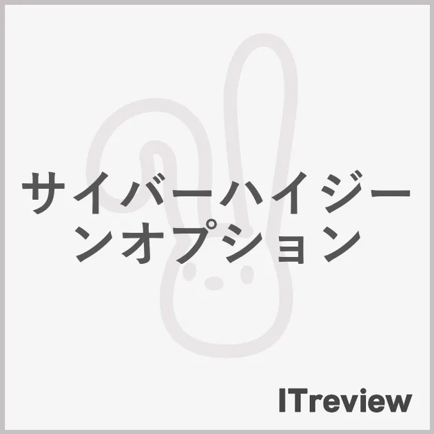 サイバーハイジーンオプション