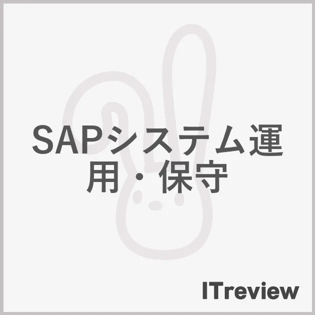 SAPシステム運用・保守