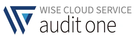 Audit One