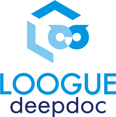 LOOGUE deepdoc