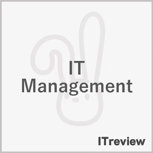 IT Management