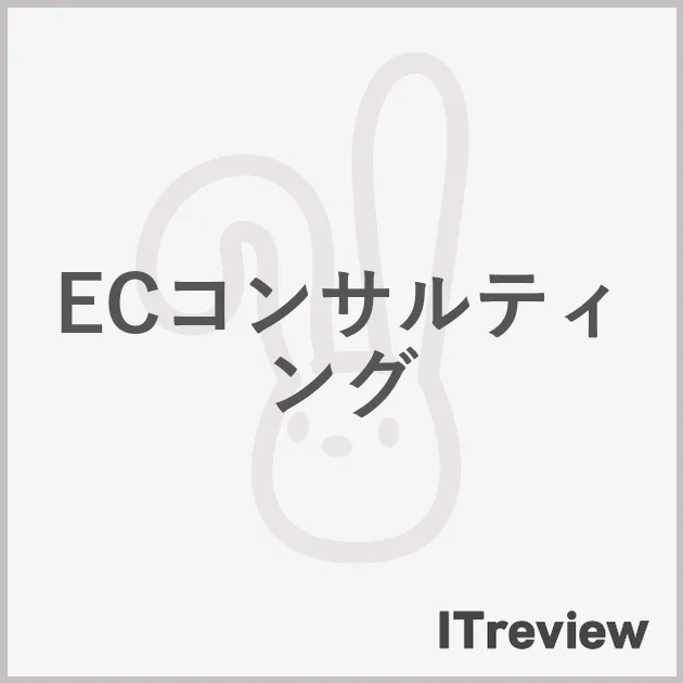 ECコンサルティング