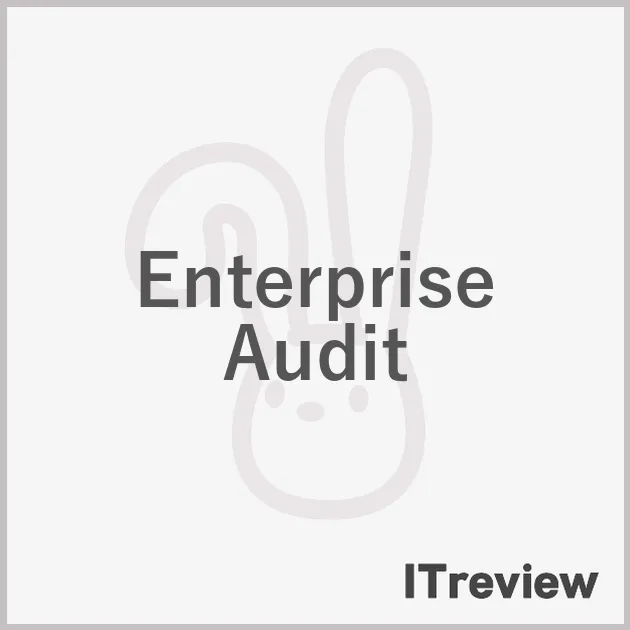 Enterprise Audit