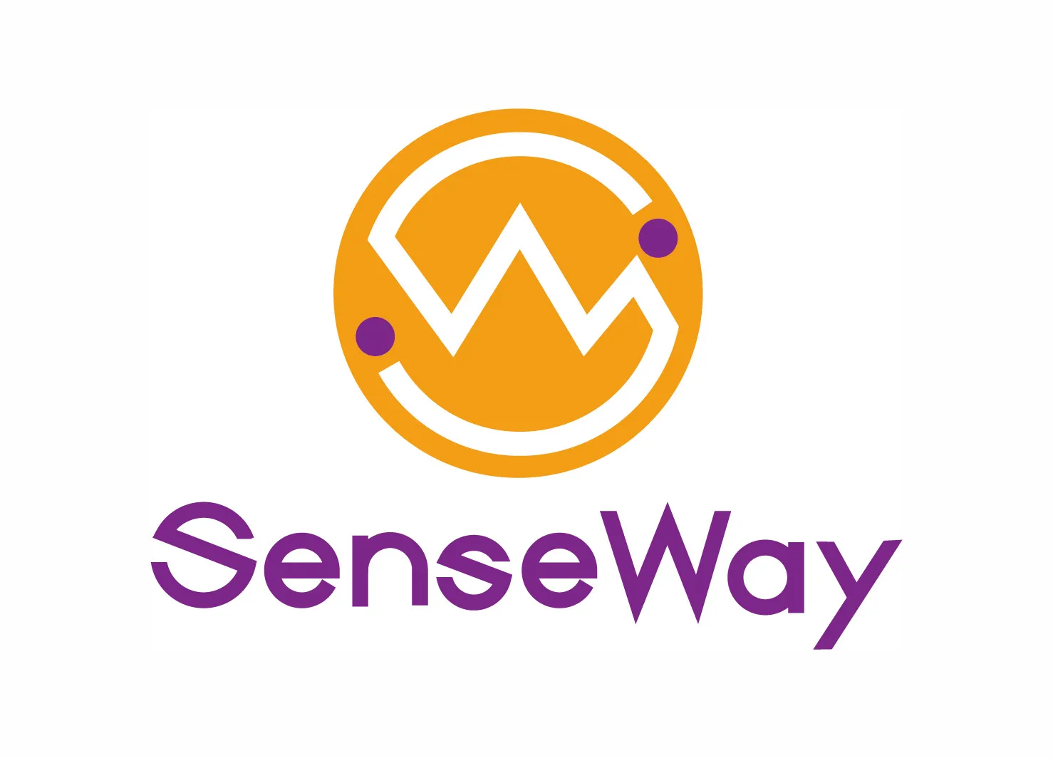 SenseWay Mission Connect